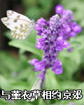 ��޹�²���Լ ������Ҳ�С�������˹��