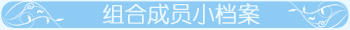 韩流十年丰碑组合