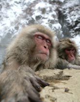 ��������������