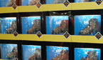 ispo